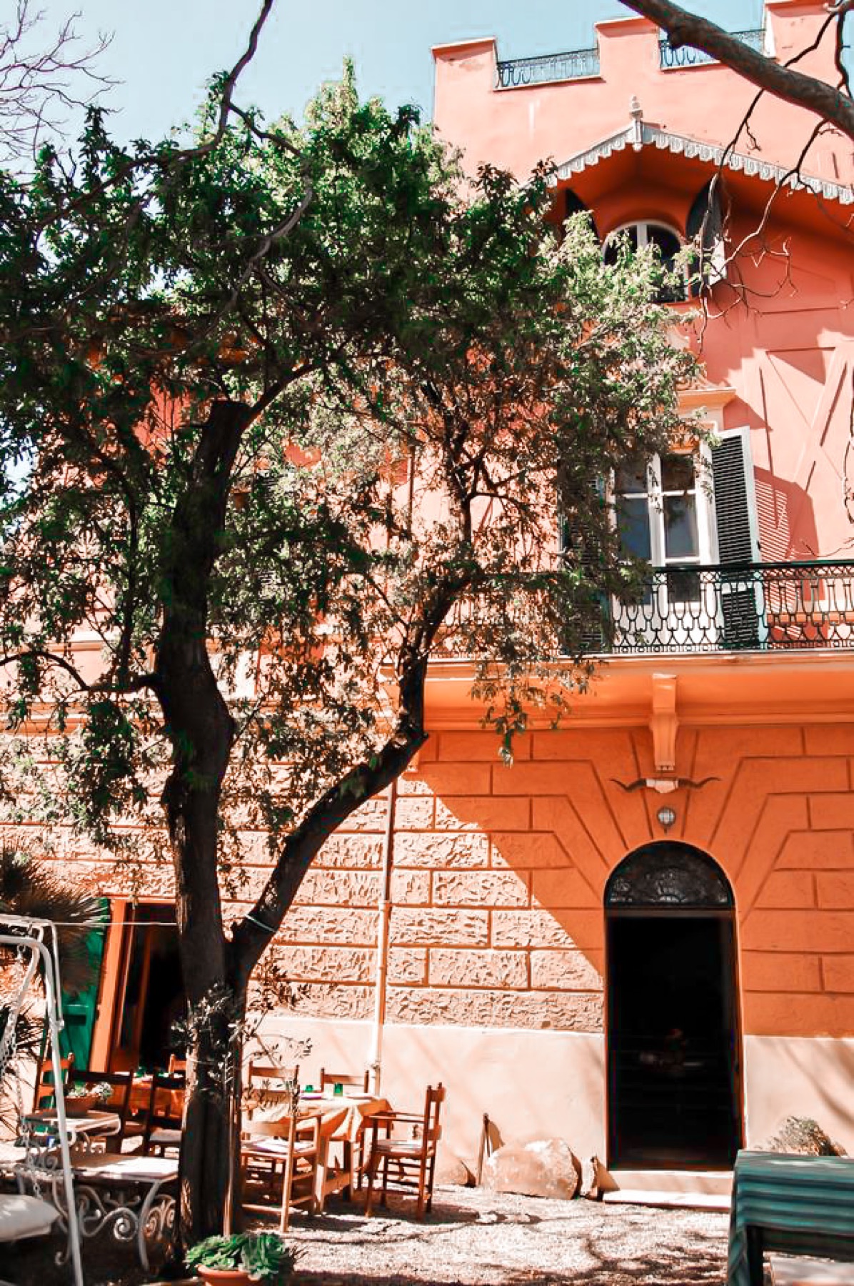 The villa's facade, with the chestnut tree and the stone doorway
